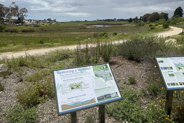Signs about wetland restoration overlook a former golf course that has been rewilded in Goleta, California.
